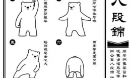 八段锦视频教学口令全套,轻松养生，健康生活新体验