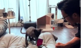 撸管必备视频,揭秘热门视频背后的秘密与技巧