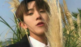 高冷男动漫,高冷动漫角色的魅力解析